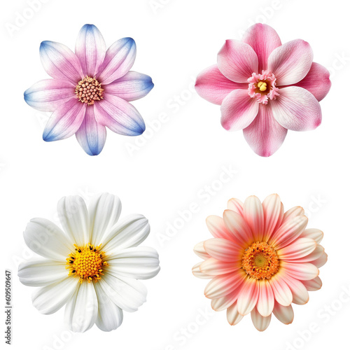 Selection of Various Flowers Isolated on Transparent Background. Created with Generative AI Technology