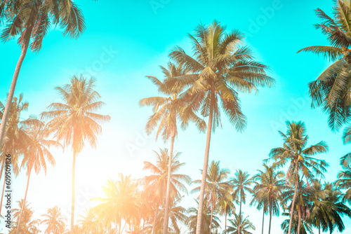 Tropical palm coconut trees on sunset sky flare and bokeh nature background. © ant