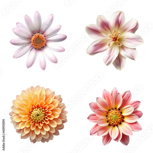 Selection of Various Flowers Isolated on Transparent Background. Created with Generative AI Technology