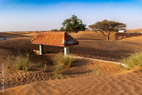 Al Madam ghost town in emirates in the morning wall covered by sand