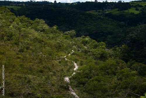 Caminho em trilha