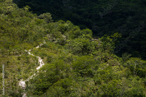 Caminho em trilha