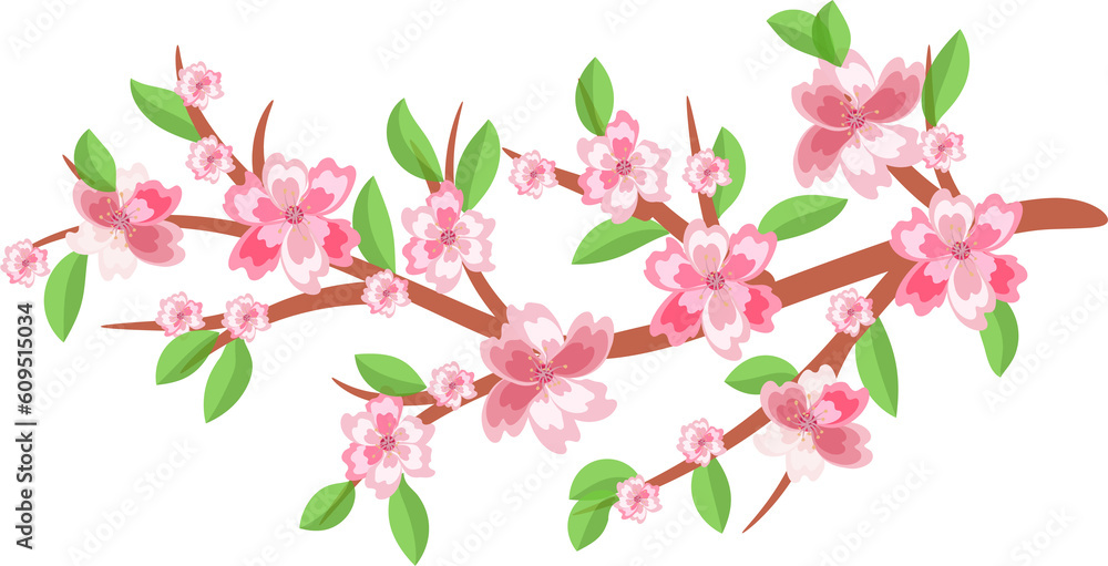 Cherry blossom branches. Japanese blooming trees, sakura flowers spring decor. On transparent, png.  spring bunch border, greeting holiday ,season ,voucher, template, brochure, pink, fashion ,card