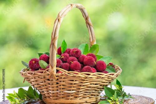 Arbutus berries Fruit or Red Yangmei in basket over blur greenery background, Red Bayberry, Yumberry, yamamomo, Waxberry in basket on green bokeh background