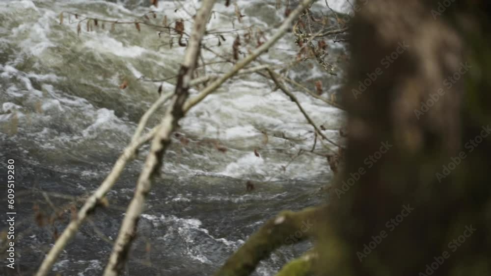 Scottish River Slow motion water rushing past tree trunk Scottish River Slow motion water rushing past tree trunk