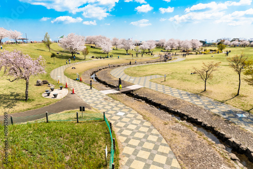 綺麗な公園「大和ゆとりの森」 in 神奈川県大和市