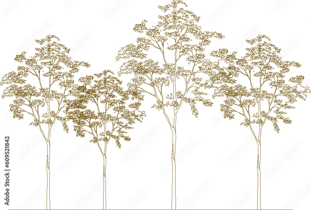 Obraz premium Vector illustration sketch of a forest full of lined trees of various sizes