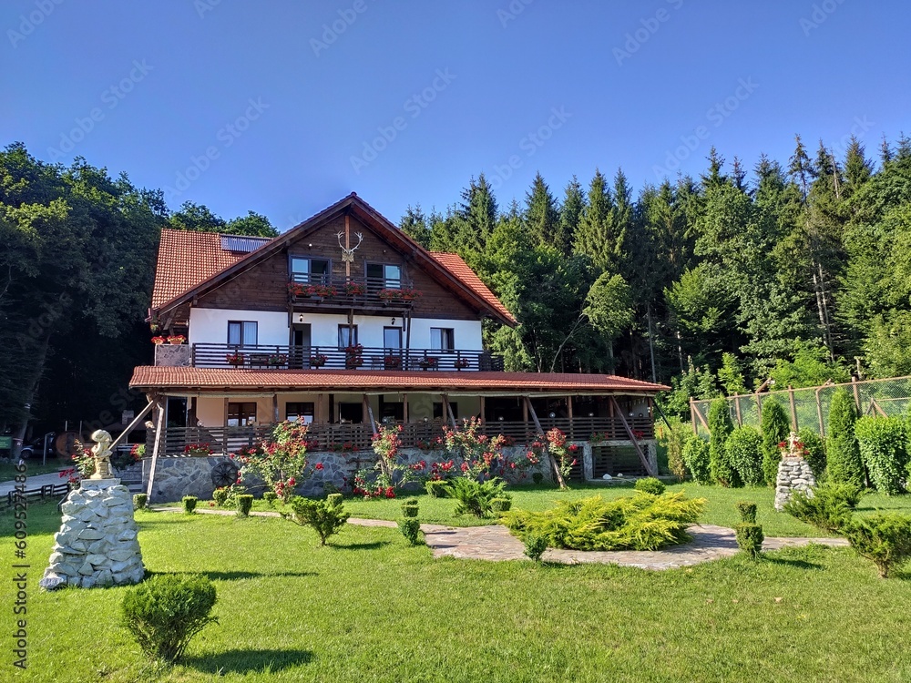 Pontoon on the lake at the Paradisul Verde Guesthouse, Bretea, Romania, Bistrita