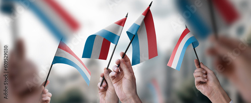 A group of people holding small flags of the Luxembourg in their hands