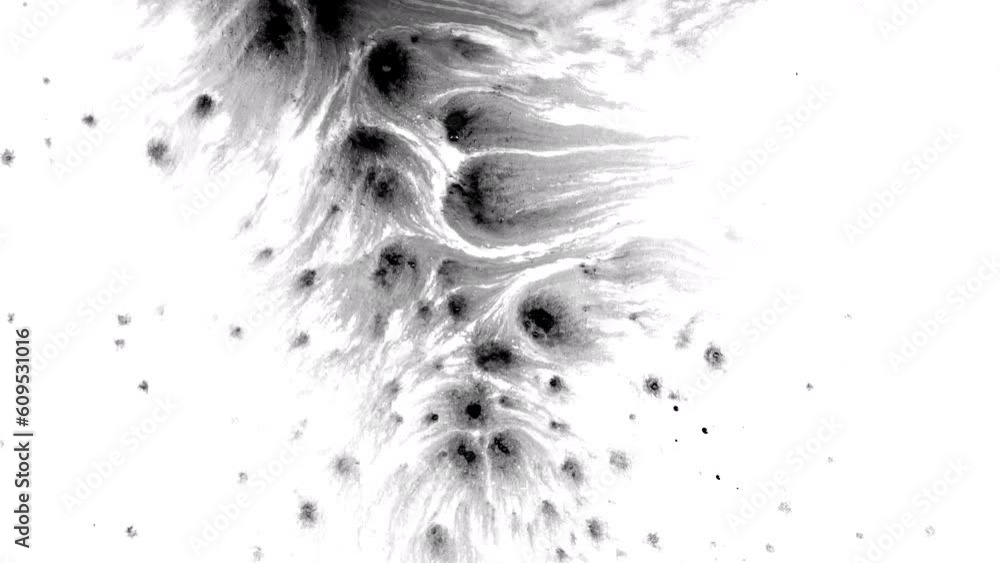 Rorschach Splattering Ink drops rorschach fluid splash splatter spread texture creative ...