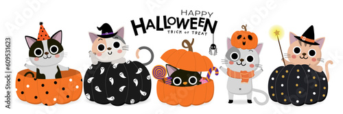 Happy halloween greeting card with cute cat in witch dress, bat, owl and pumpkin. Holidays cartoon character. -Vector