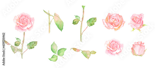 水彩で描いたバラの素材セットイラスト