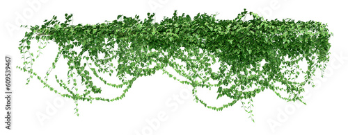 Tela A trail of realistic ivy leaves or Ivy green with leaf