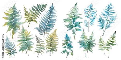 watercolor fern clipart for graphic resources