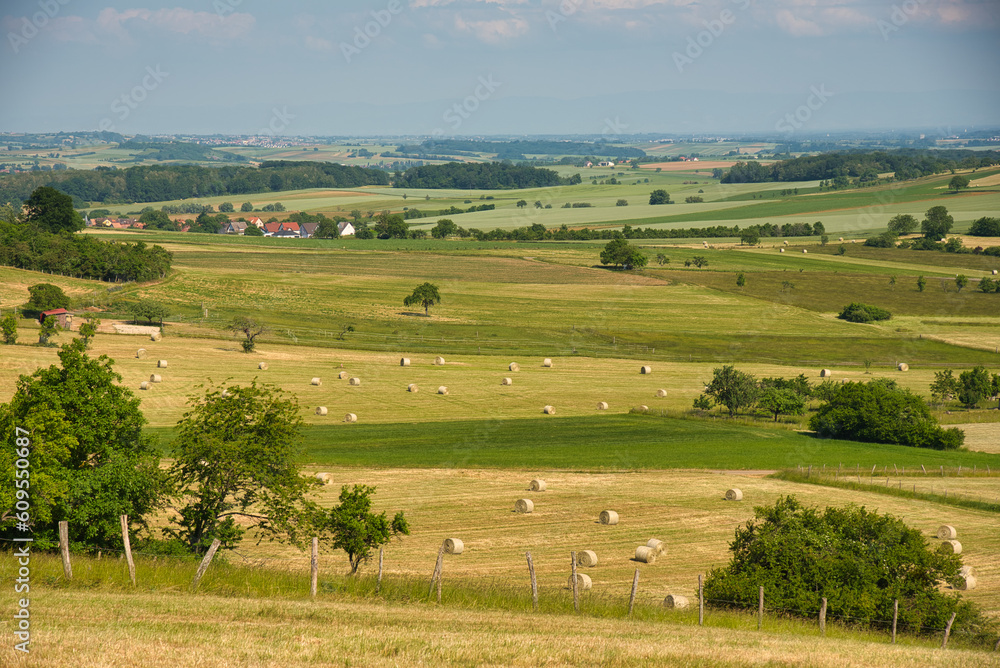 Landschaft am Bastberg bei Bouxwiller im Elsass