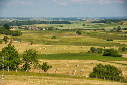 Landschaft am Bastberg bei Bouxwiller im Elsass © Tanja Voigt 