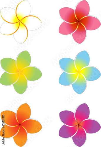 Colorful Frangipani Flowers Set 3. Isolated design elements objects with a 1-point border object which can be removed if desired.