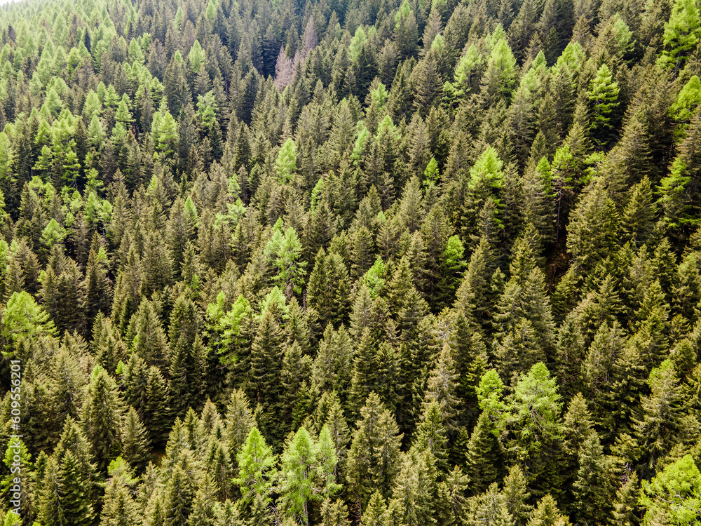 Obraz premium Tessin in der Schweiz