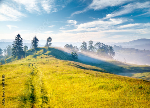 Obraz na płótnie Splendid summer landscape of a rolling countryside on a sunny day