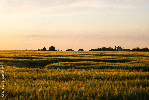 sunset over fields