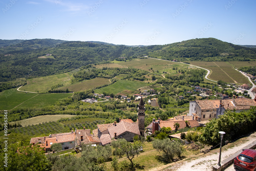 green hills, hedges, trees and fields near Motovun, Istria, Croatia with a clear blue sky 