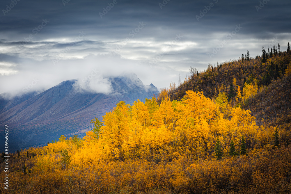 Mountain landscape in autumn colors, Wrangell St Elias National Park Alaska

