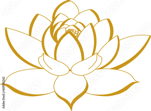 magnolia in golden color, vector illustration, flower
