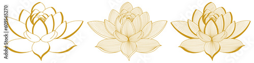 incredible magnolias in golden color, set, vector illustration, flower