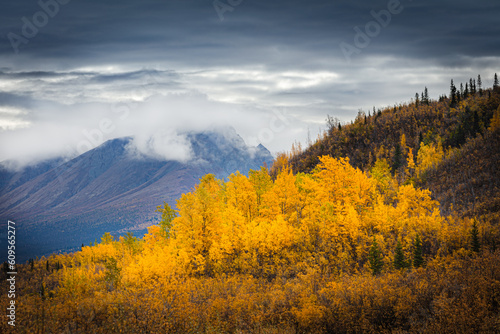 Mountain landscape in autumn colors, Wrangell St Elias National Park Alaska 