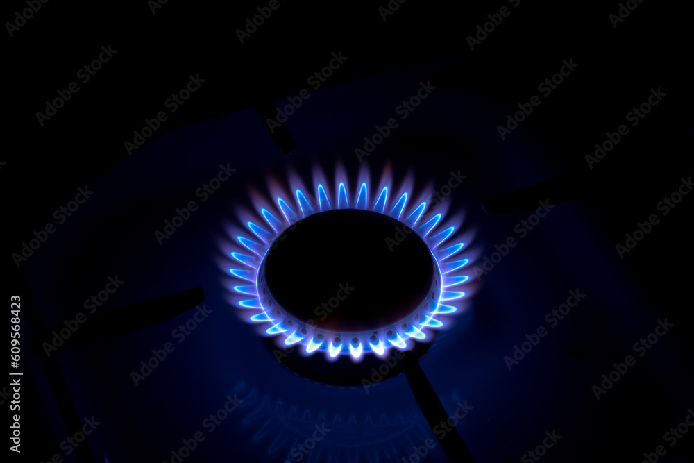 Kitchen gas cooker with burning fire gas. Blue flame of a gas burner Kitchen gas cooker with burning fire gas. Blue flame of a gas burner