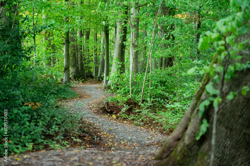 Ashton Court Estate, Bristol, UK