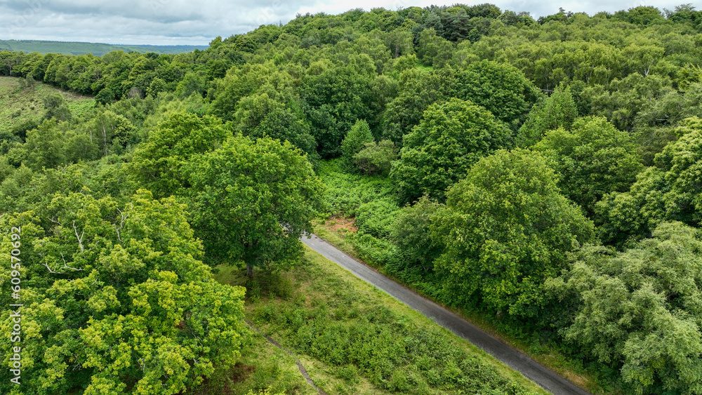 Aerial view of lush green woodland countryside Aerial view of lush green woodland countryside