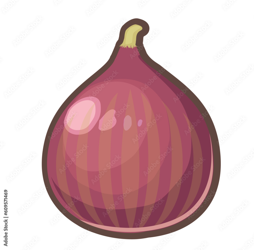 いちじくのイラスト いちじくのイラスト