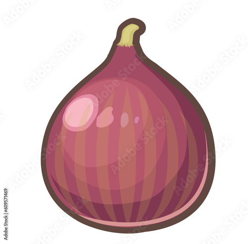 いちじくのイラスト