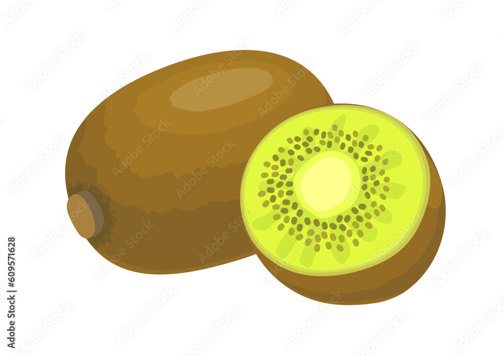 Obraz premium キウイフルーツのイラスト