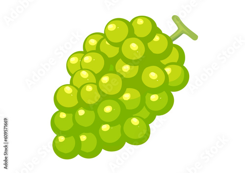 マスカットのイラスト