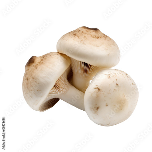  mushrooms isolated on white background generative ai, clipping path, png file