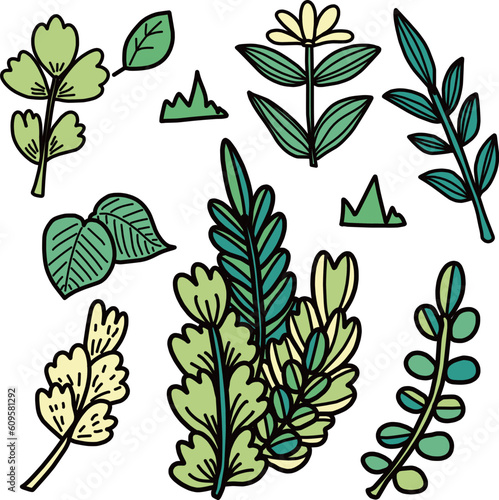 装飾に使える葉っぱや枝や花などの植物のイラストセット