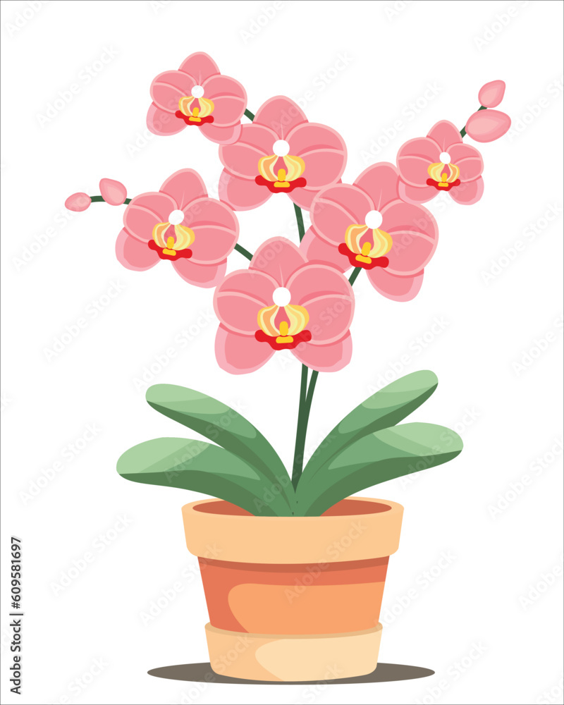 orchid pastel colors in pot