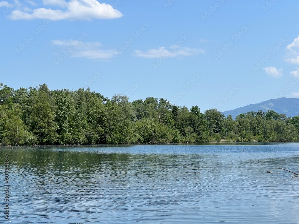 Summer atmosphere in the Old Rhine Nature Park, Lustenau (Austria) - Vorfrühlings Stimmung im Naturpark Alter Rhein oder Naturpark am Alten Rhein, Lustenau - Österreich (Osterreich or Oesterreich) Summer atmosphere in the Old Rhine Nature Park, Lustenau (Austria) - Vorfrühlings Stimmung im Naturpark Alter Rhein oder Naturpark am Alten Rhein, Lustenau - Österreich (Osterreich or Oesterreich)