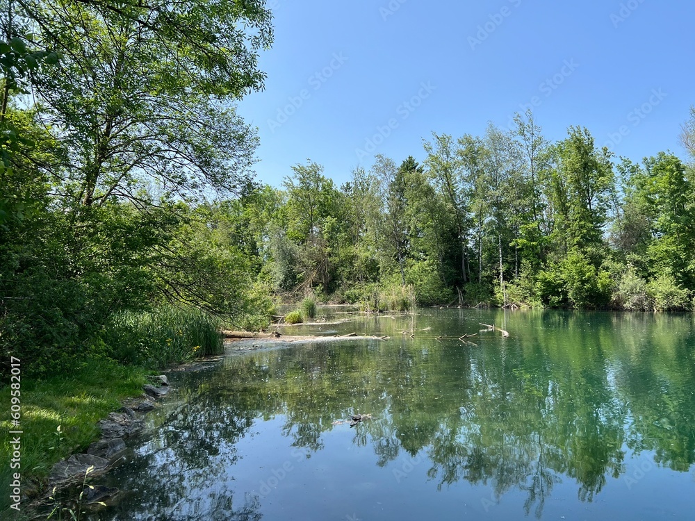 Obraz premium Summer atmosphere in the Old Rhine Nature Park, Lustenau (Austria) - Vorfrühlings Stimmung im Naturpark Alter Rhein oder Naturpark am Alten Rhein, Lustenau - Österreich (Osterreich or Oesterreich)