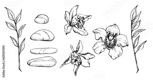 Hand drawn vector ink spa stones with exotic tropical orchid flowers and eucalyptus branch. Isolated object on white background. Design wall art, wellness resort, print, fabric, cover, card, booklet.