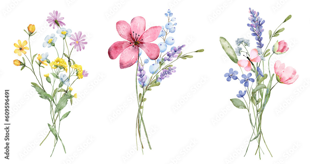 Set watercolor flowers painting, floral vintage bouquet illustrations with wildflowers and leaves. Decoration for poster, greeting card, birthday, wedding design. Isolated on white background.
