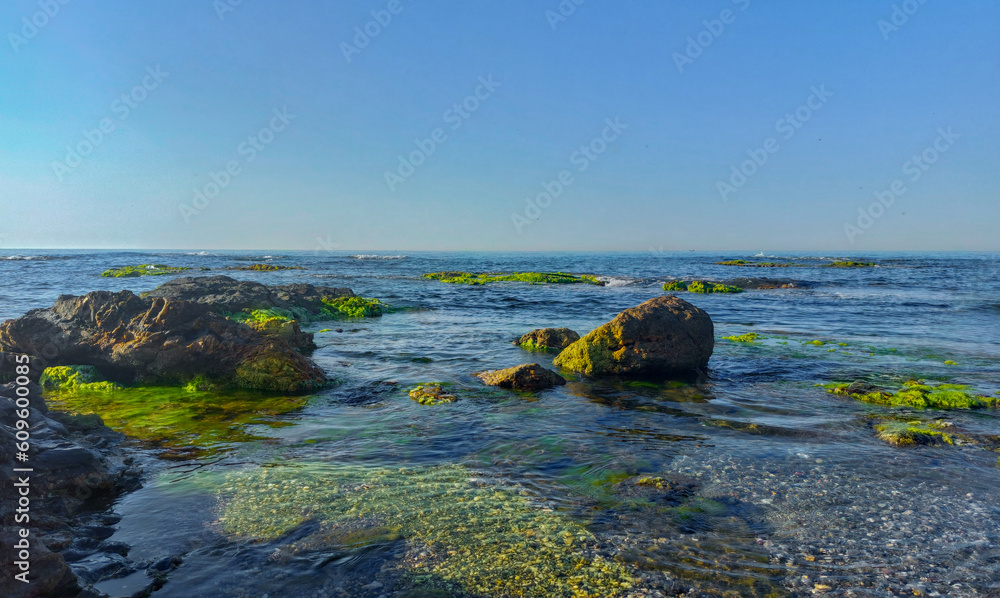 rocks in the sea
