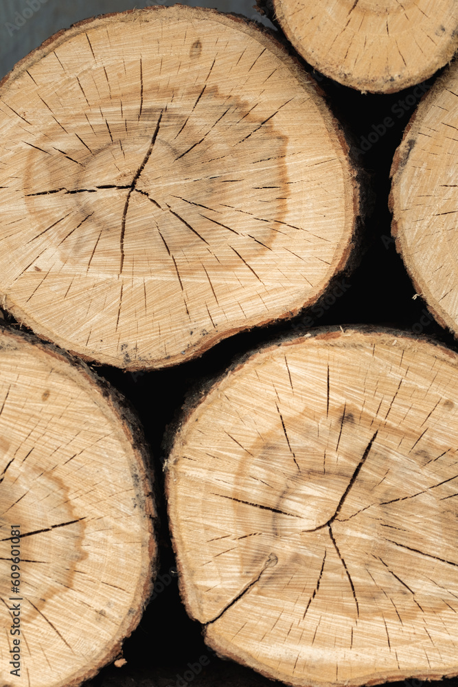 Naklejka premium A pile of gathered firewood. Close up shot of deck of wood. Wooden log cuts. Collecting firewood for a bonfire. Picnic or barbecue party background