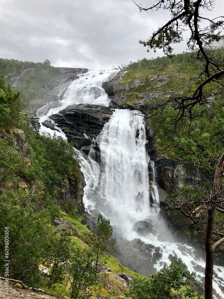 Fototapeta premium waterfall in the mountains