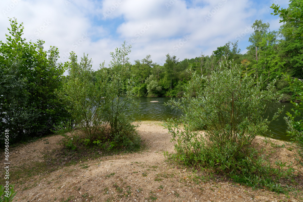 Pond in the Livry Sensitive Nature reserve. Île-de-France region Pond in the Livry Sensitive Nature reserve. Île-de-France region