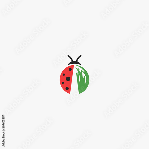 Ladybug Lawn Vector