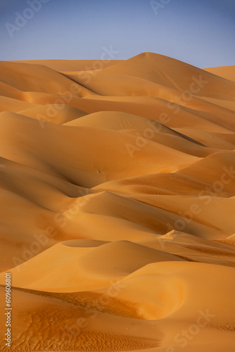 desert dunes at sunrise in emirates arabia vertical