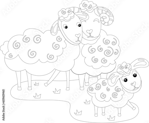 Cartoon farm animal sheep ram ewe vector graphic